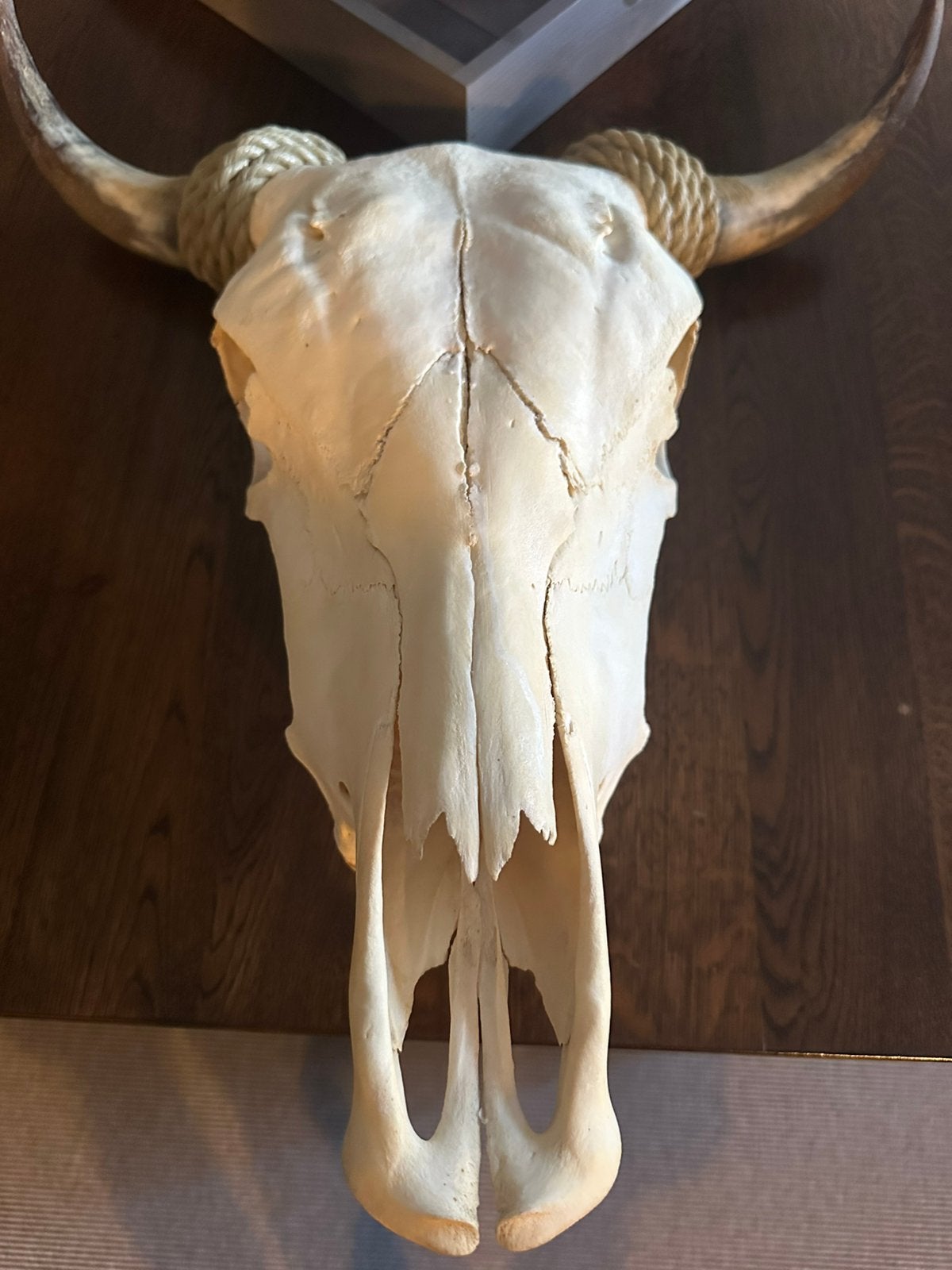 Skull, Ophalen of Verzenden, Zo goed als nieuw, Paard, Beeldje of Figuurtje