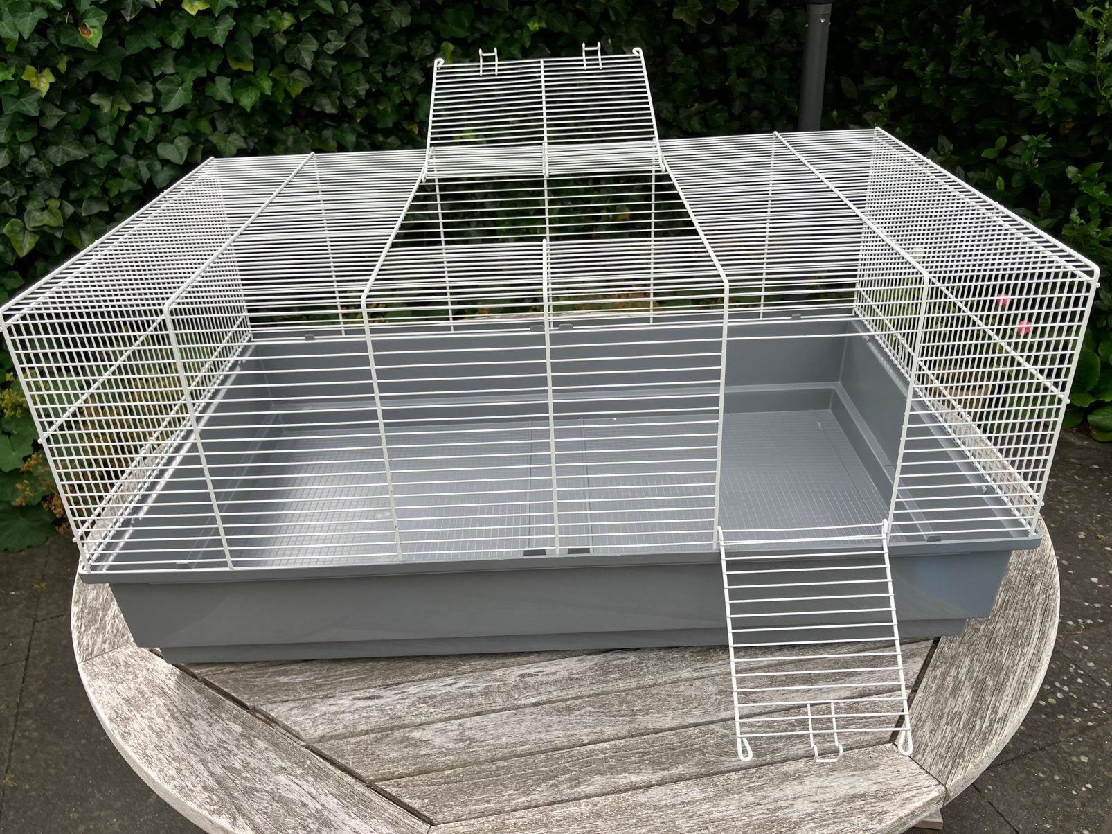 Ruime hamsterkooi Ferplast Mary 80 x 50 x 37,5 cm grijs, Kooi, Zo goed als nieuw, Hamster, 75 tot 110 cm
