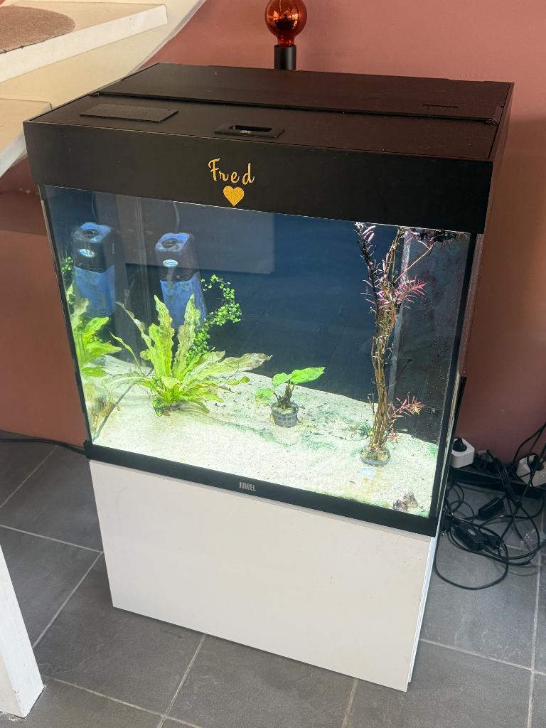 Juwel Aquarium Lido 120 L Led 61x41x58 cm, Ophalen, Gebruikt, Leeg aquarium, Juwel