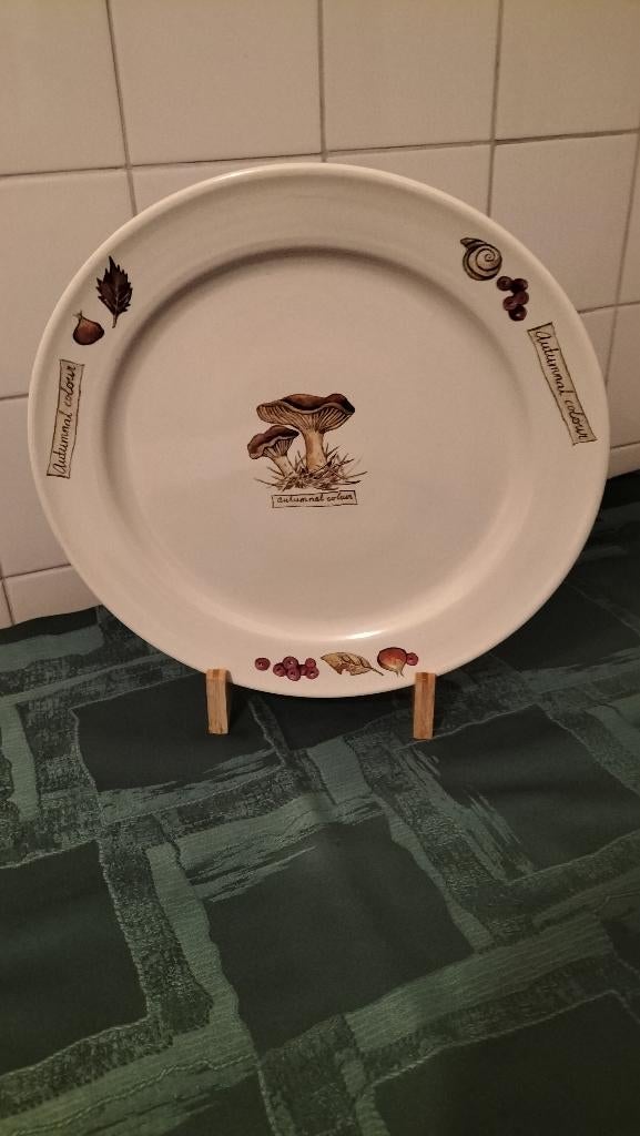 4 verschillende Grote BordenJet serviezen- nieuw 31 cm, Nieuw, Ophalen of Verzenden, Schaal of Schalen, Overige stijlen