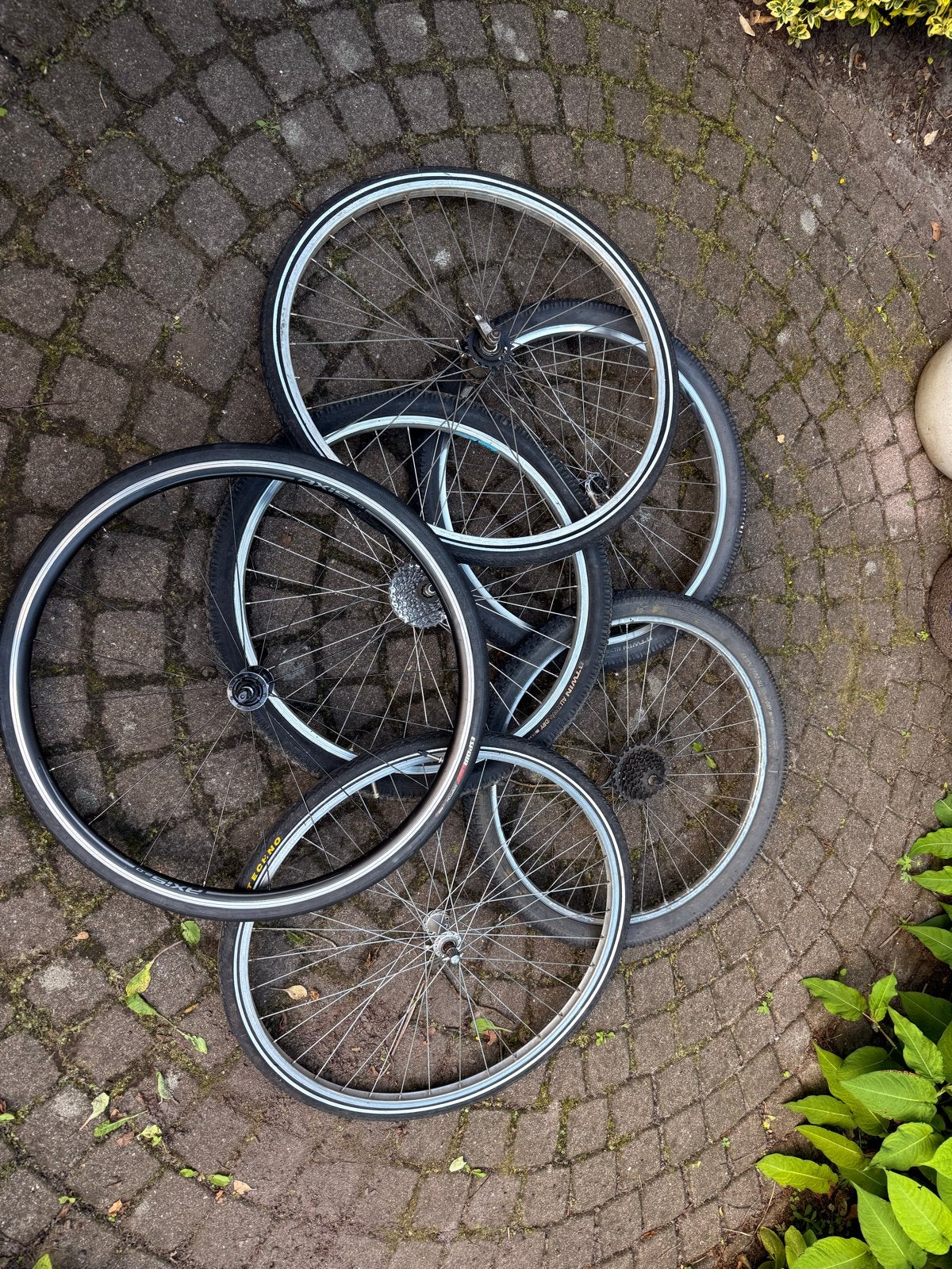 Fietswielen: 3x 28 inch en 2x 26 inch, Fietsen en Brommers, Fietsonderdelen, Ophalen, Gebruikt, Wiel