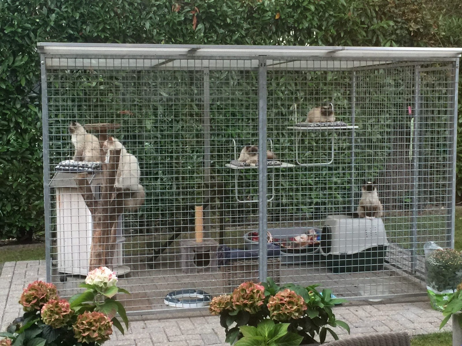 katten of hondenkennel kennel, Ophalen, Zo goed als nieuw