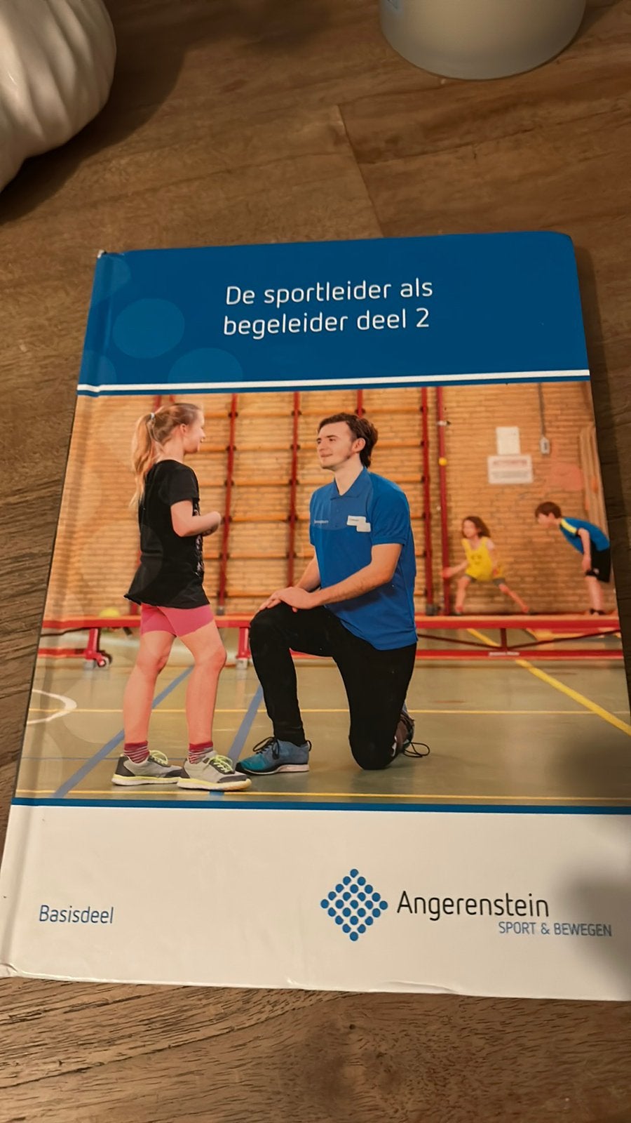 De sportleider als begeleider deel 2, Ophalen of Verzenden, Zo goed als nieuw