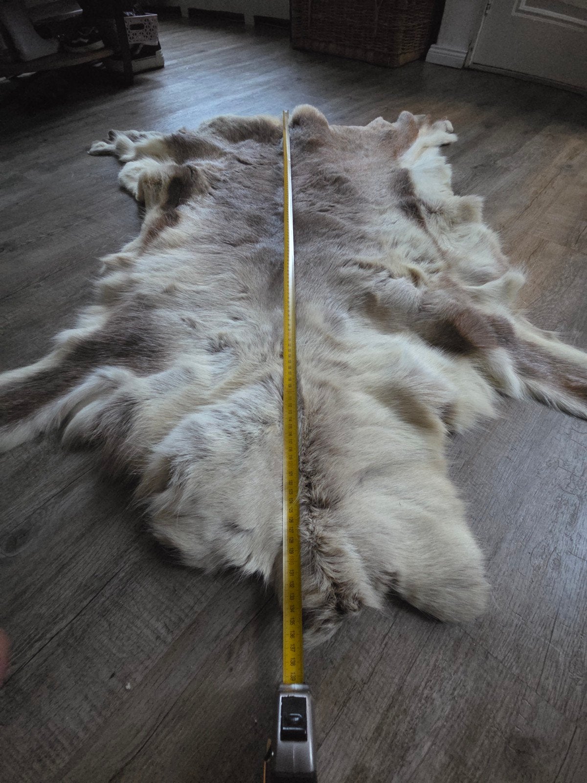 Prachtig rendierenvel - dikke wintervacht, Ophalen of Verzenden