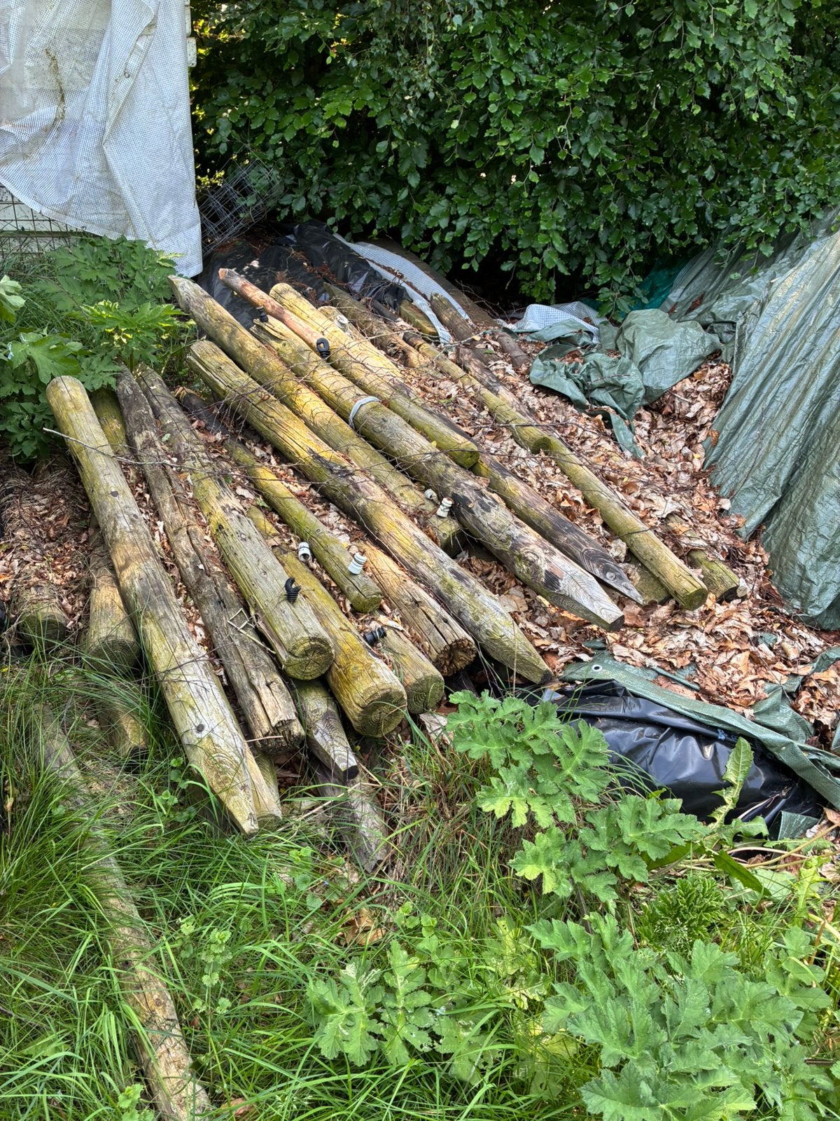 Weidepalen, Minder dan 3 m³, Ophalen