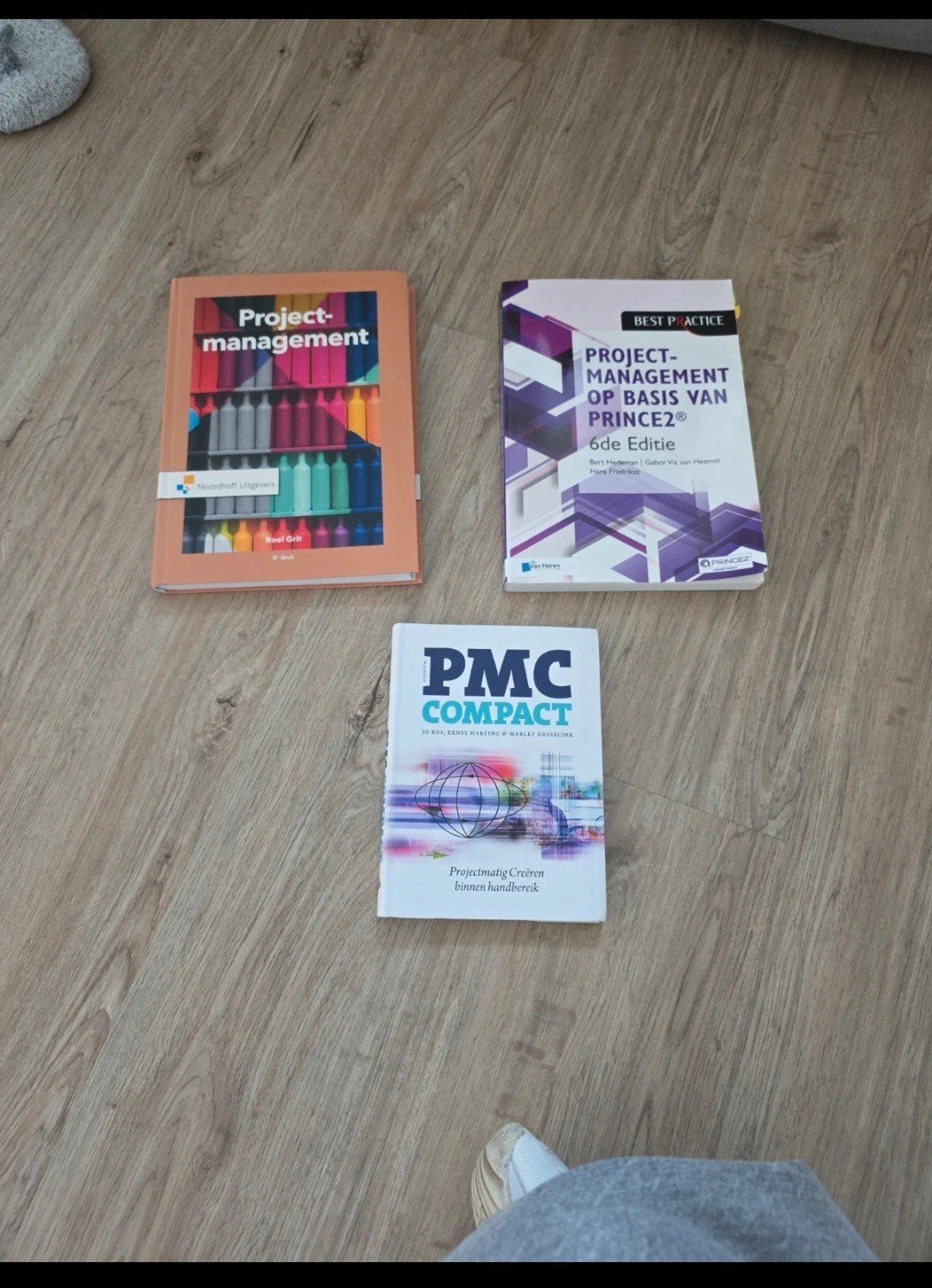 Projectmanagement op basis van Prince2 - 6e editie, Boeken, Studieboeken en Cursussen, Ophalen of Verzenden, Beta, Zo goed als nieuw