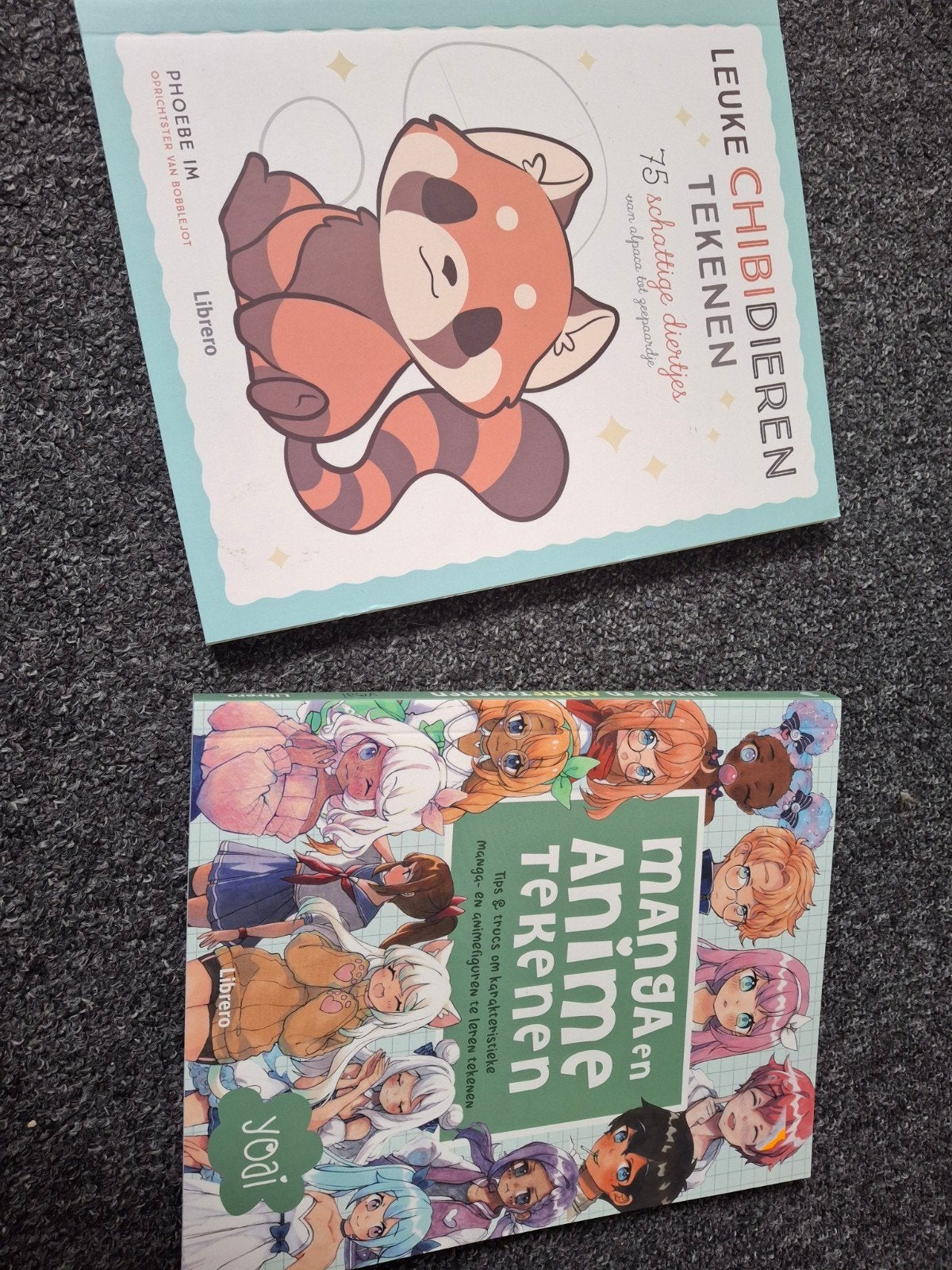 Manga & Kawaii Tekenboeken met Uitleg, Boeken, Ophalen, Nieuw, Overige onderwerpen