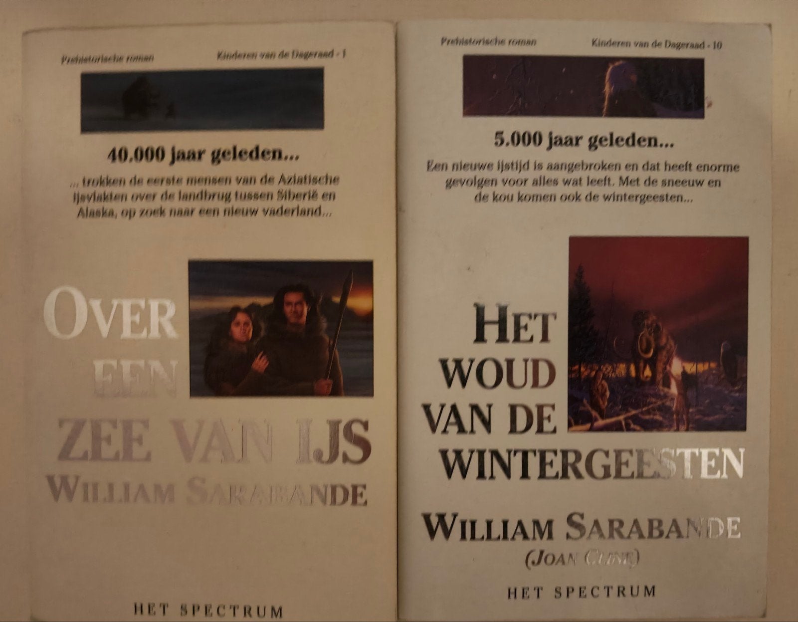 William Sarabande - 2 verschillende boeken €2 per stuk, Ophalen of Verzenden, Gelezen, William Sarabande, Nederland
