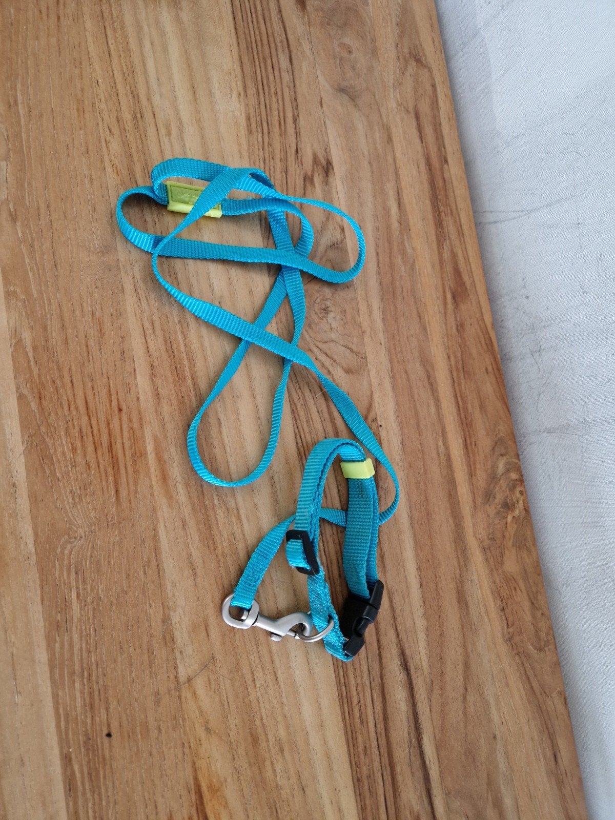 beezties halsbandje en riem voor pup of kleine hond, Dieren en Toebehoren, Ophalen of Verzenden, Zo goed als nieuw