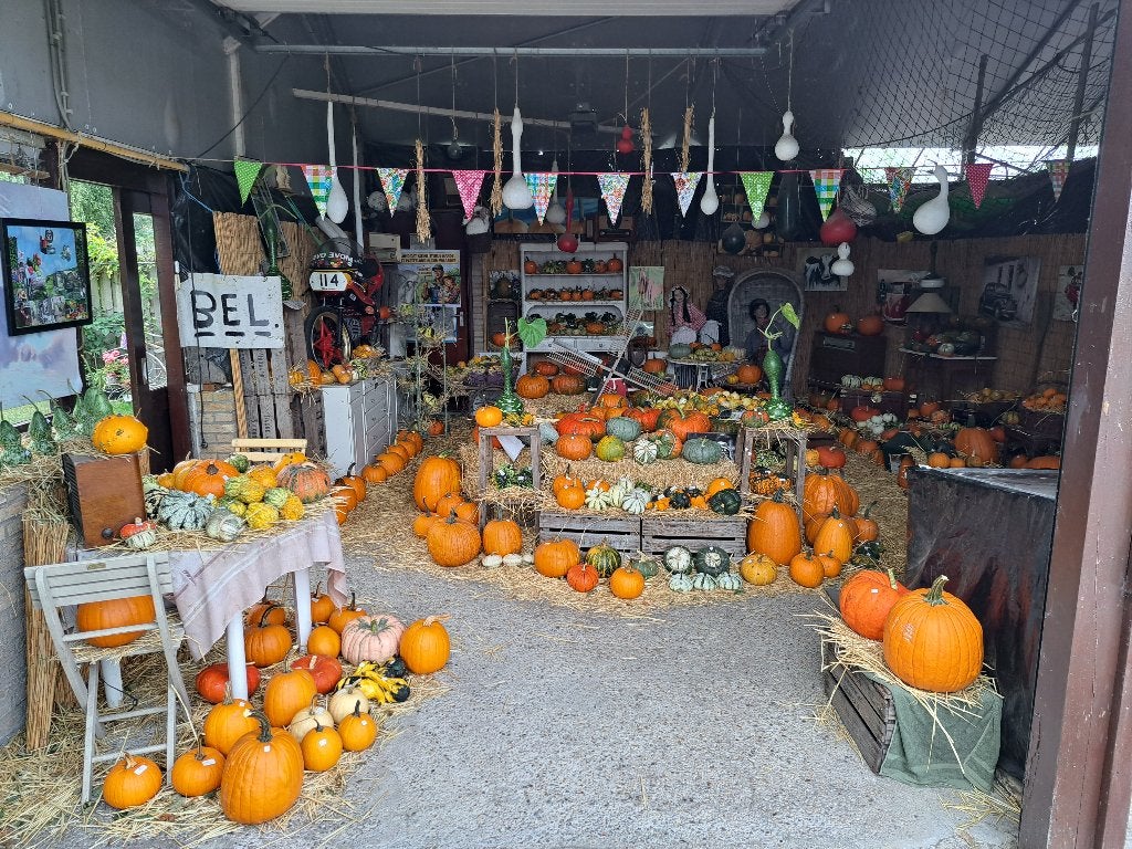 Pompoenen Kalabassen  sierfruit Eetfruit Haloween fruit, Ophalen, Nieuw