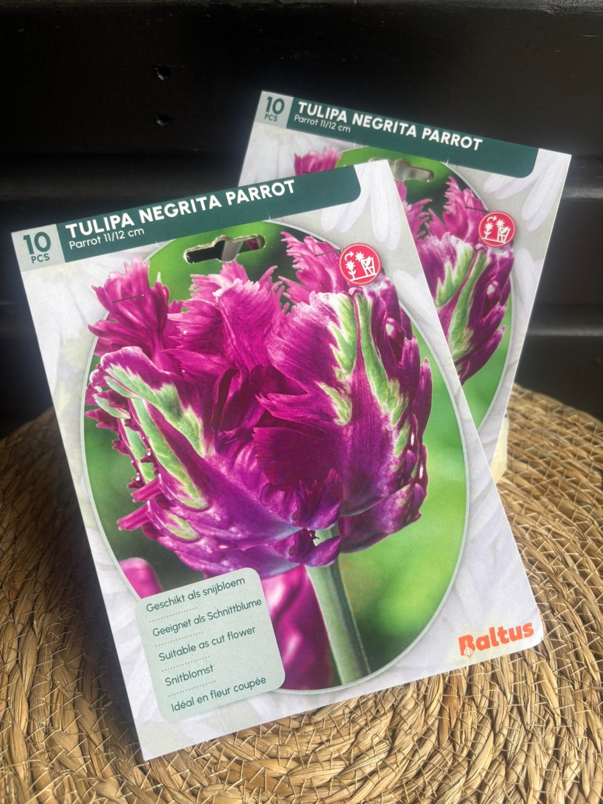 Tulpenbollen, Ophalen of Verzenden, Volle zon