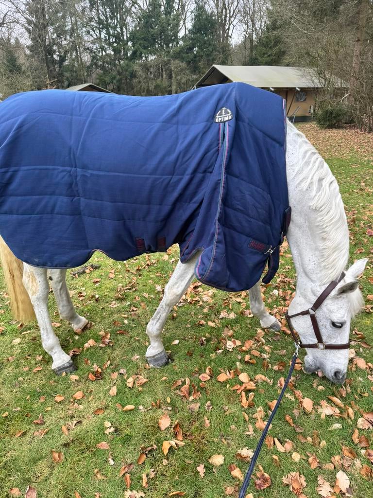 Horseware rambo optimo, Ophalen of Verzenden, Zo goed als nieuw