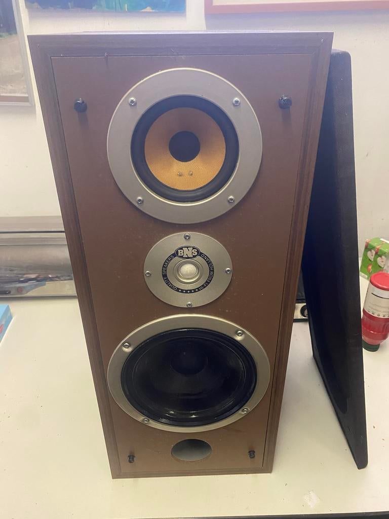 BNS Kwaliteitsspeakers - Hi-Fi uit Holland, Gebruikt, 60 tot 120 watt, Front, Rear of Stereo speakers, Ophalen