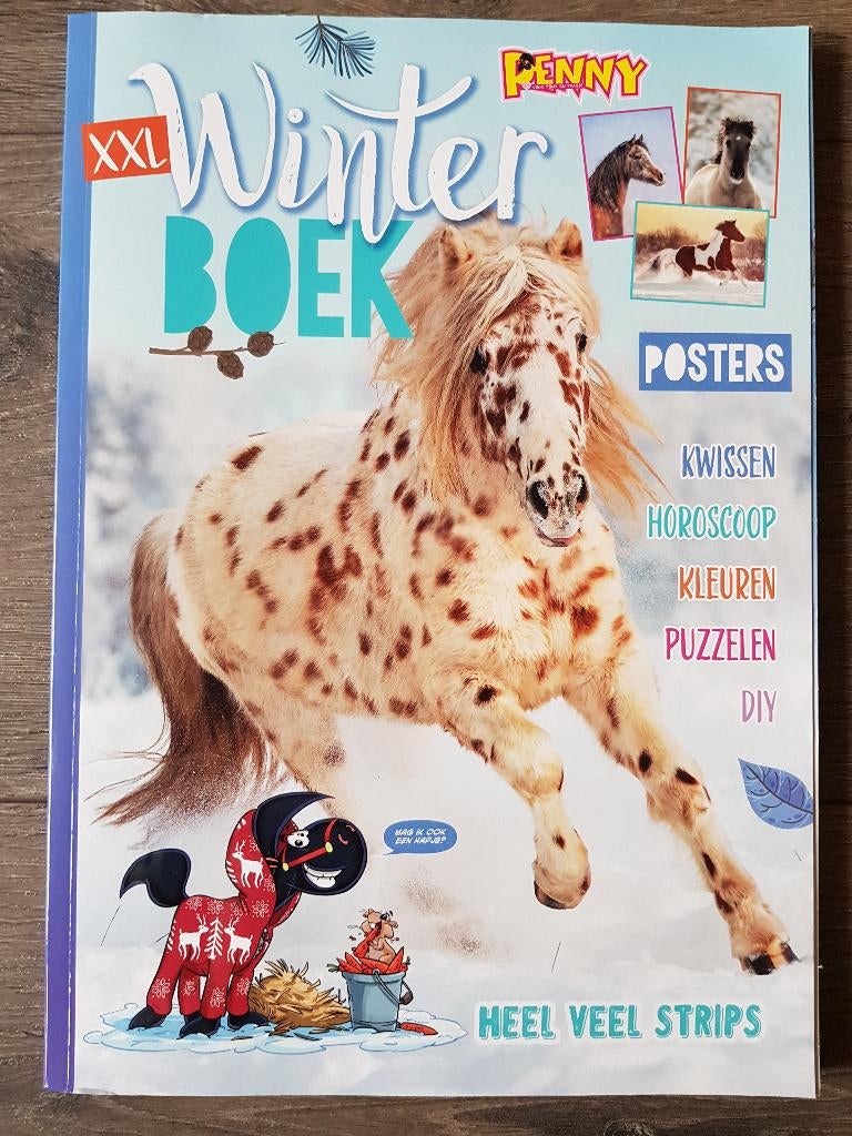 Penny winterboek XXL 2024 - 2025 -- paarden / pony's (nieuw), Ophalen of Verzenden, Nieuw, Fictie algemeen