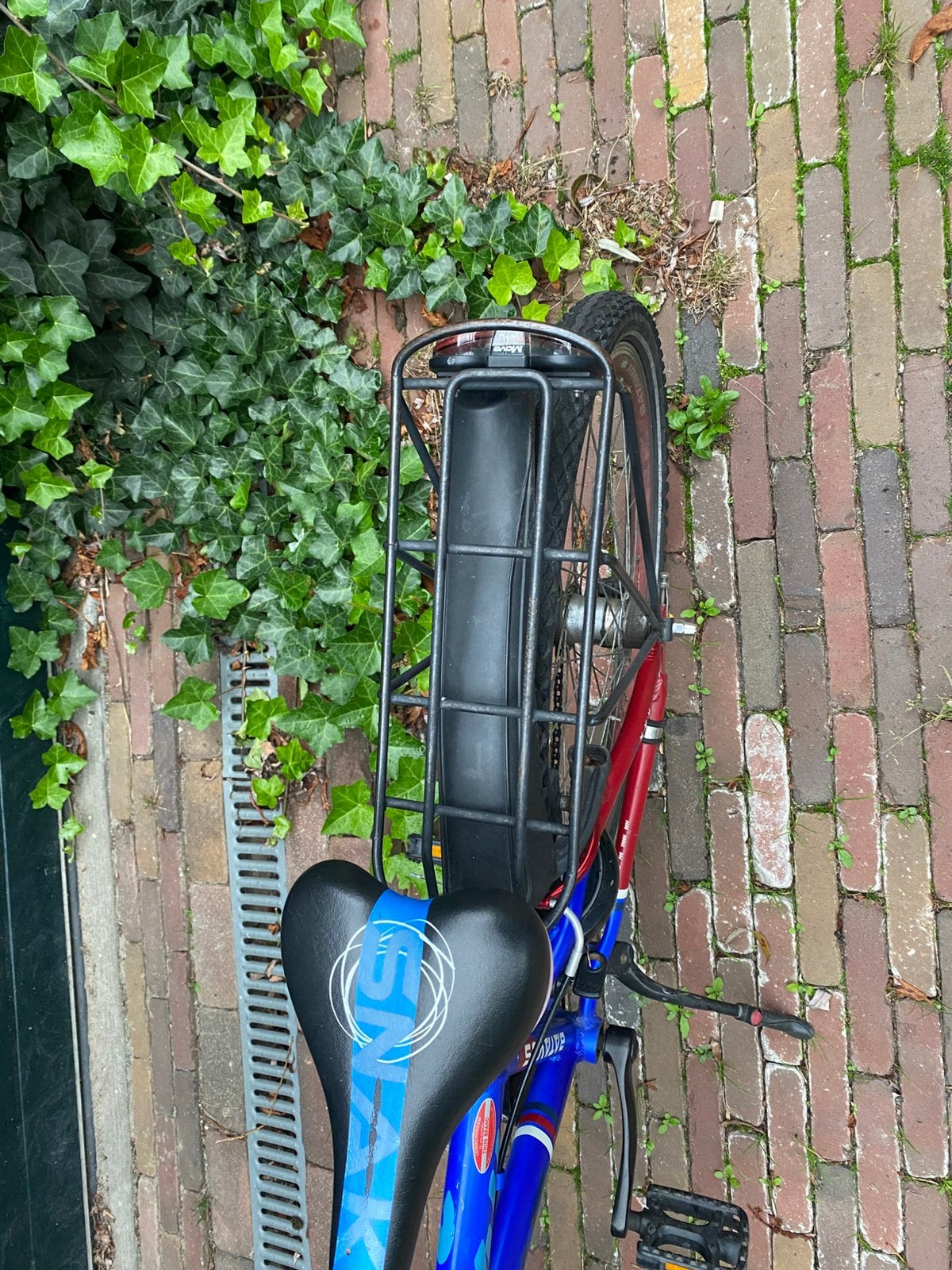 Foto 6 van Batavus Snake 24 inch