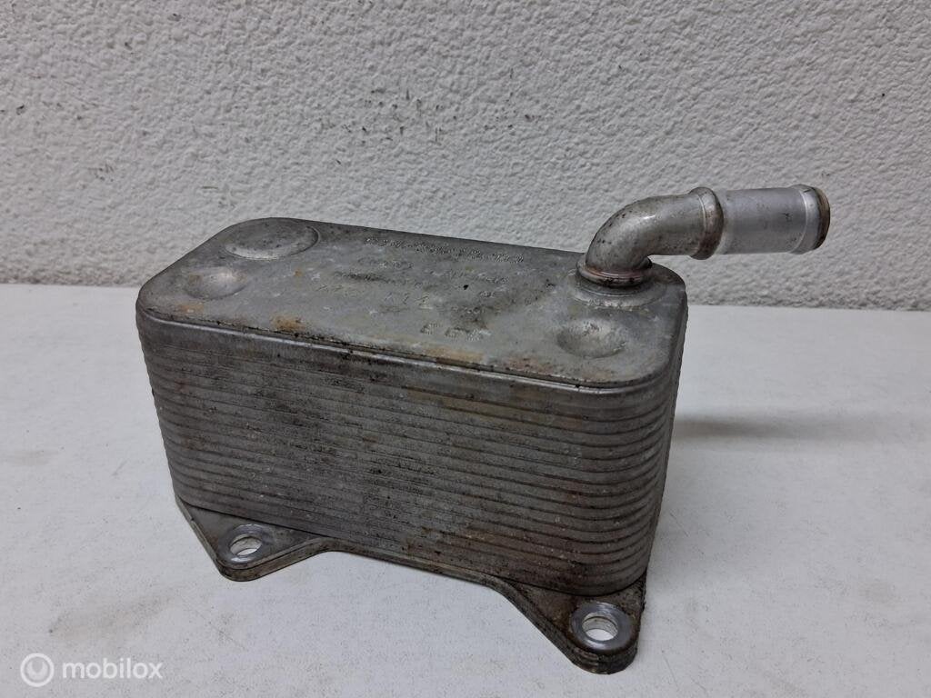Oliekoeler (motor) Seat Exeo 3R 2.0 TSI ('09-'13) 06D117021C, Gebruikt, Ophalen of Verzenden, Seat, Seat