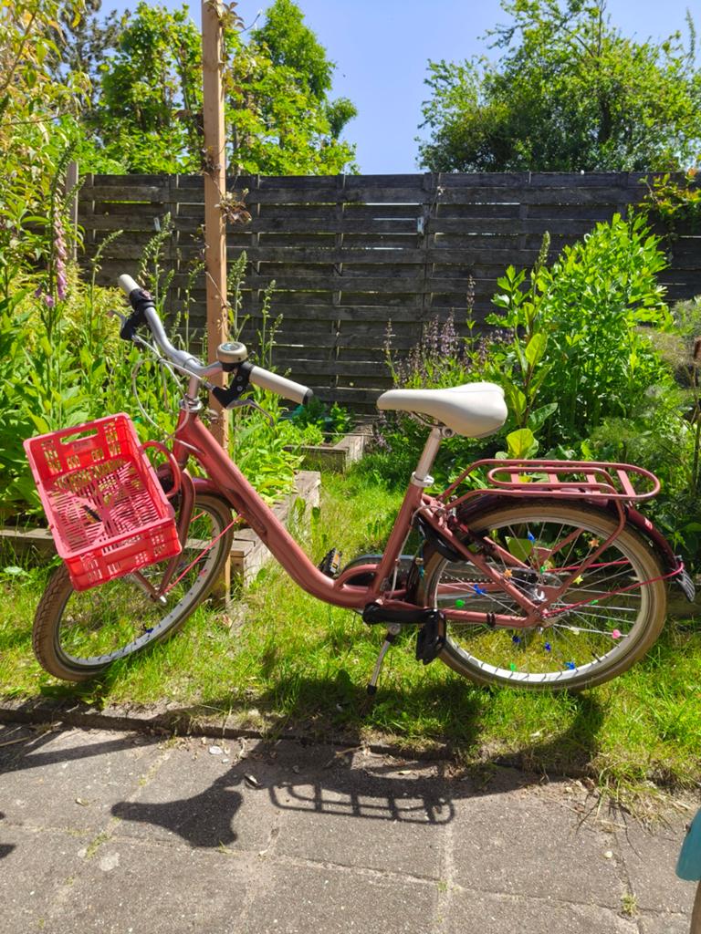 Batavus Star 22inch meisjesfiets, Fietsen en Brommers, Fietsen | Meisjes, Ophalen, Gebruikt, 22 inch, Versnellingen