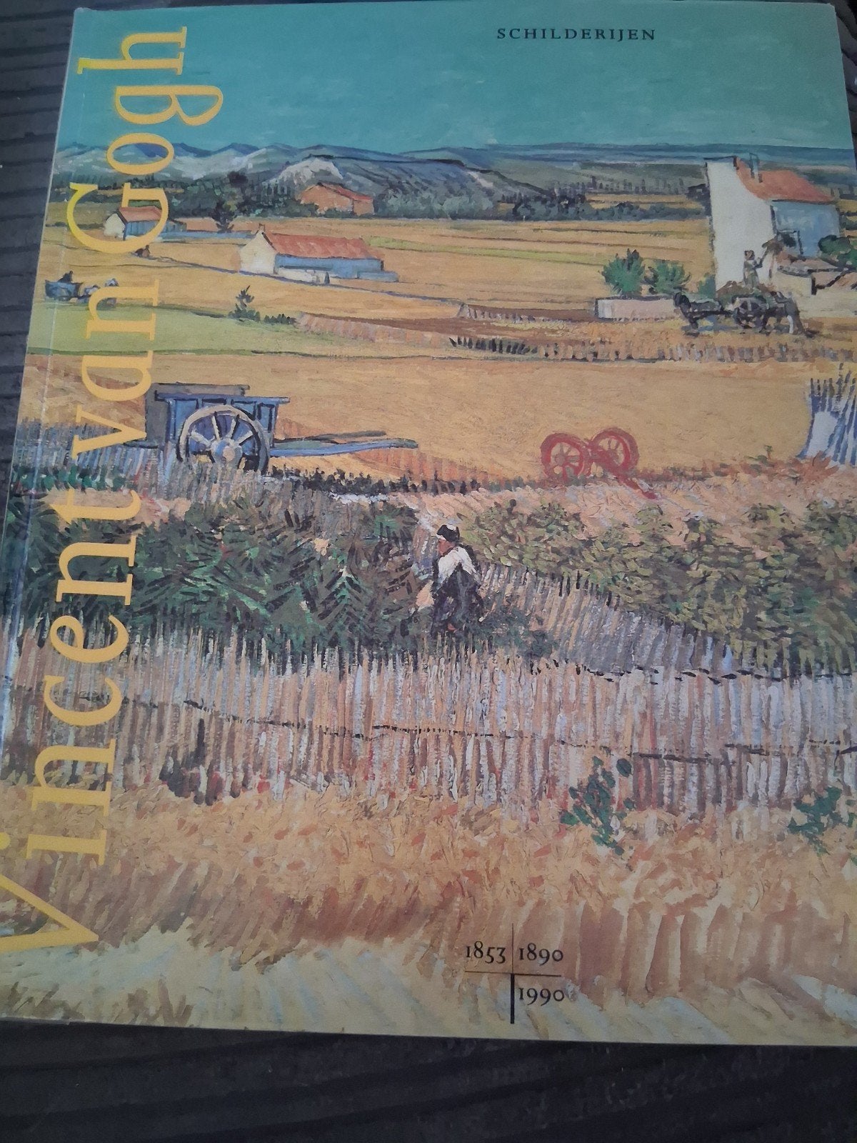 Vincent van Gogh - Schilderijen, Ophalen of Verzenden, Zo goed als nieuw