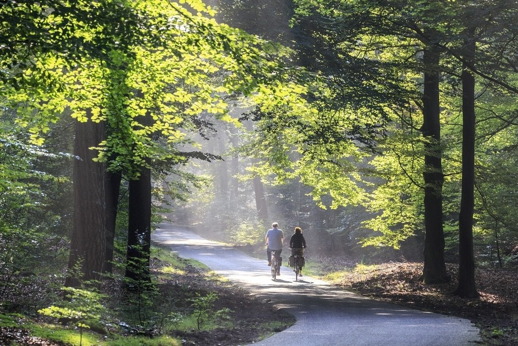 Vakantie Lastminute nog te boeken in Juli - Augustus ****, Vakantie, 2 slaapkamers, Wasmachine, Gelderland en Veluwe, Chalet, Bungalow of Caravan