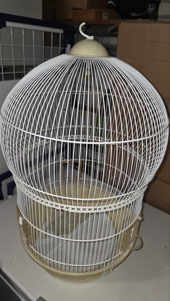 Kooi, Dieren en Toebehoren, Vogels | Hokken en Kooien, Ophalen, Hout, Vogelkooi