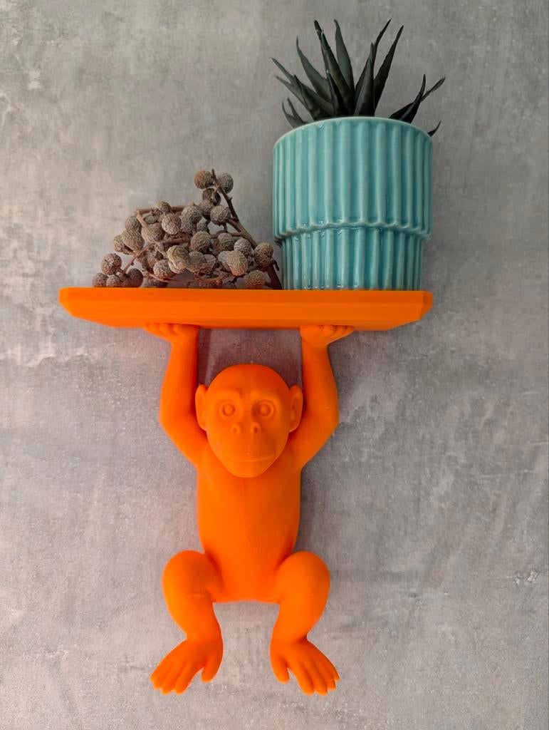 Erg leuk decoratie wandplankje aap oranje, Ophalen of Verzenden, Nieuw