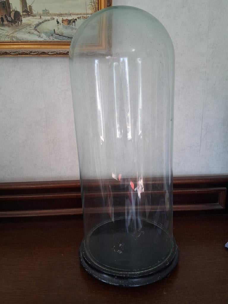 Glazen stolp. Hoogte 60 cm, Ophalen