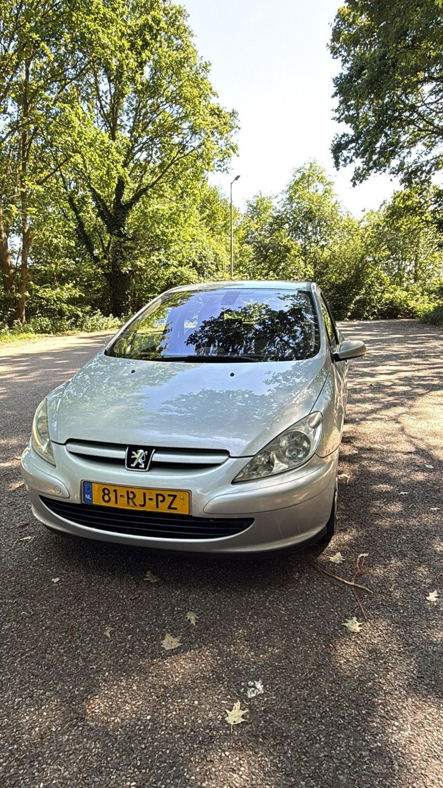 Peugeot 307 1.6 16V 5DR 2005 Grijs, Voorwielaandrijving, 4 cilinders, 635 kg, Handgeschakeld