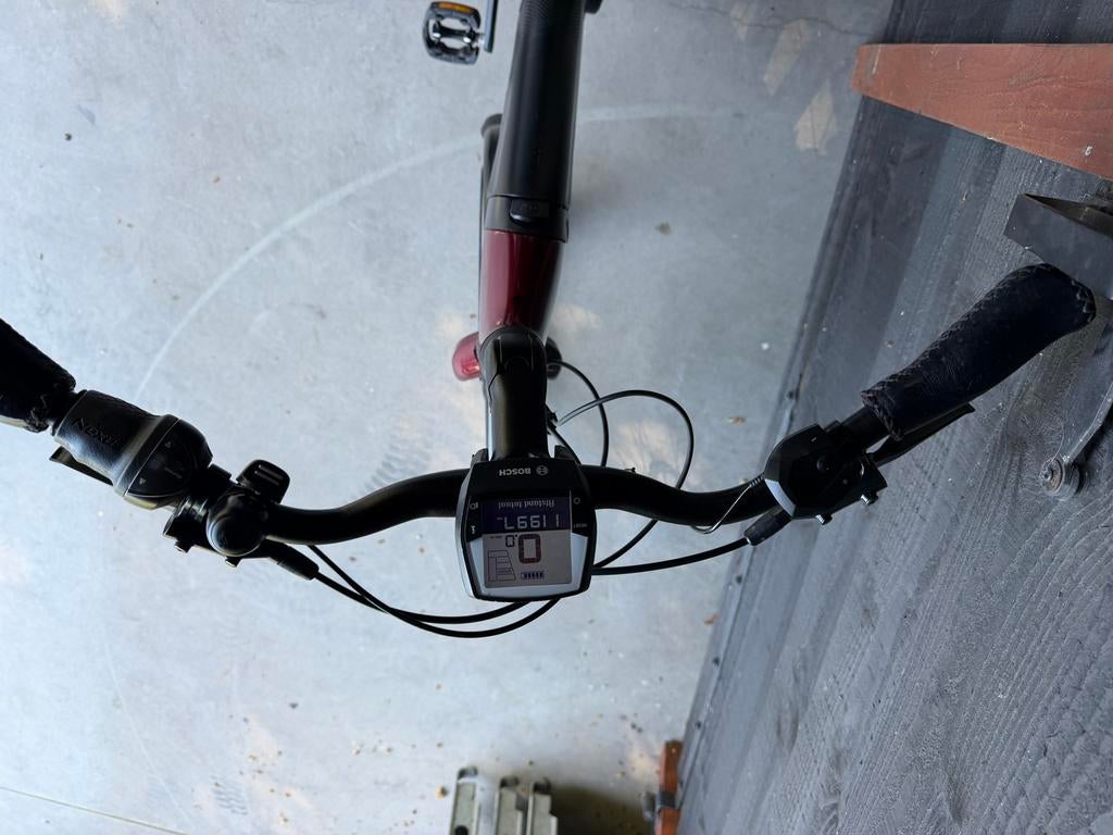 Koga E-Nova PT Bosch Active Line Plus Belt Maat S, Fietsen en Brommers, Elektrische fietsen, Minder dan 47 cm, Ophalen of Verzenden