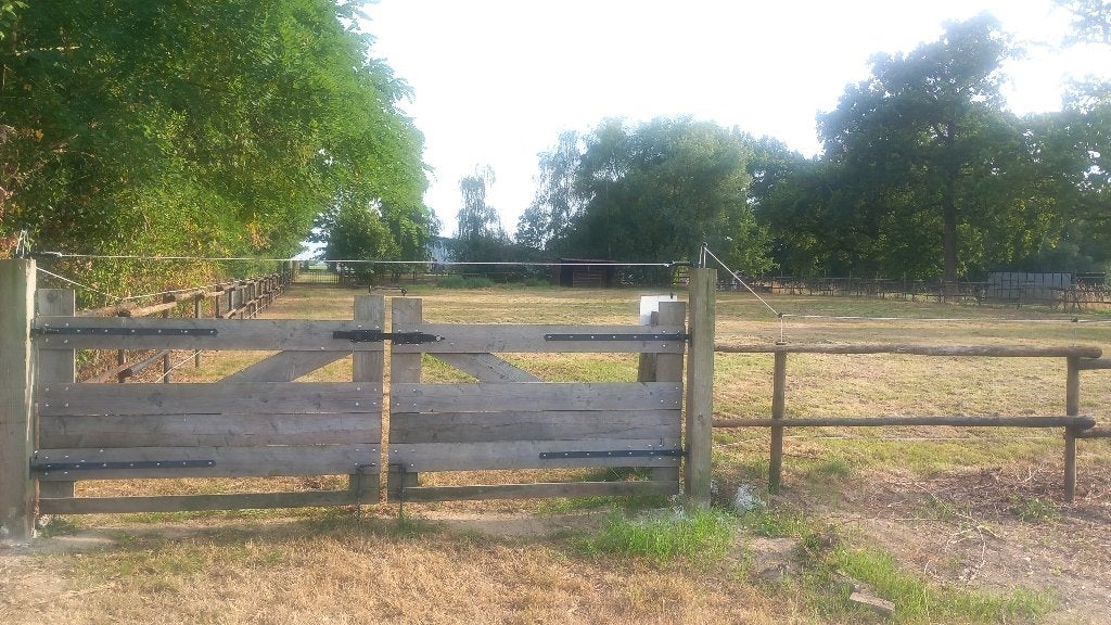 Weide, Weidegang