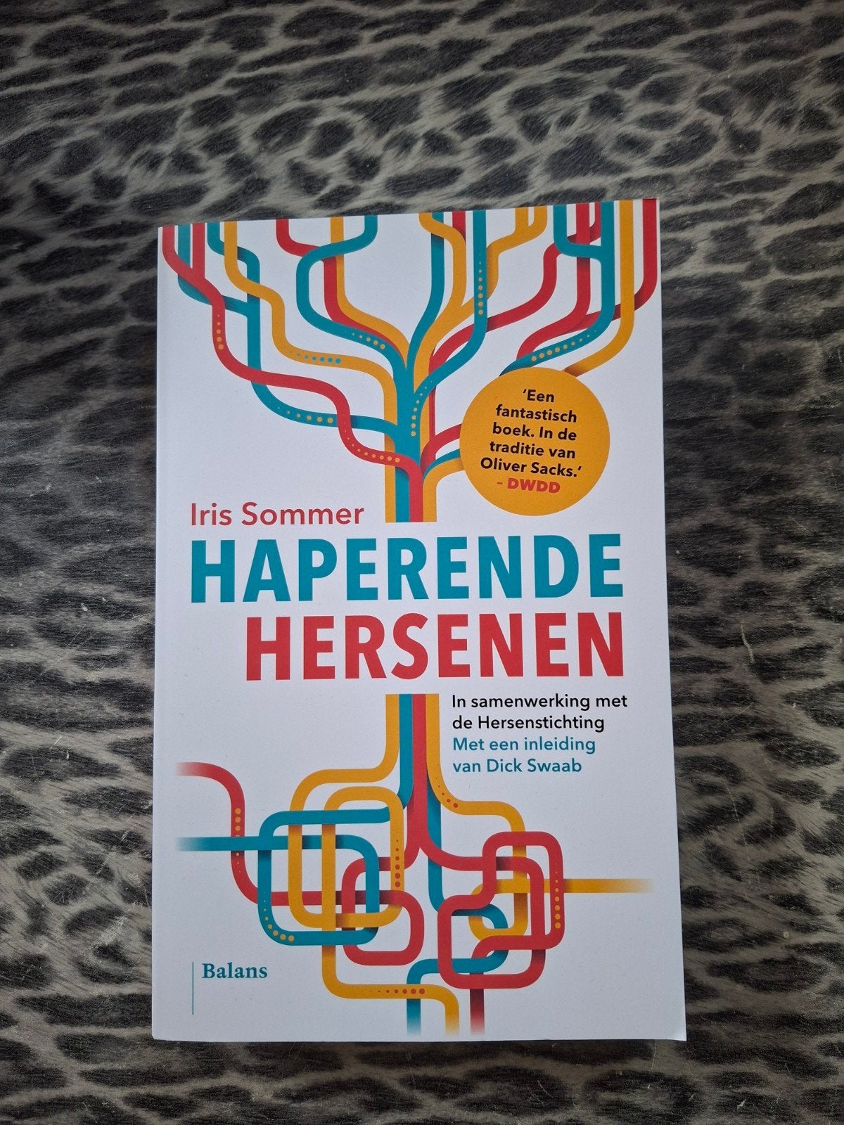 Haperende Hersenen - Iris Sommer (Boek), Ophalen, Zo goed als nieuw, Iris Sommer, Nederland