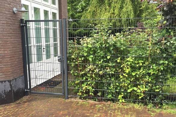 Hekwerk en poorten | Alle soorten en maten | Gratis offerte, Ophalen of Verzenden, Zo goed als nieuw, IJzer, Dubbelstaafmat hekwerk