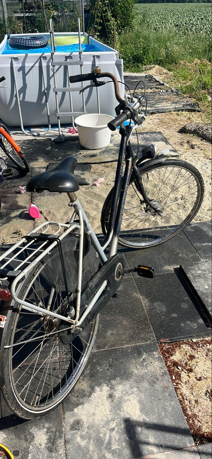 Sparta Athos damesfiets - Frame 53 cm, Ophalen, Terugtraprem, Sparta, 53 tot 56 cm