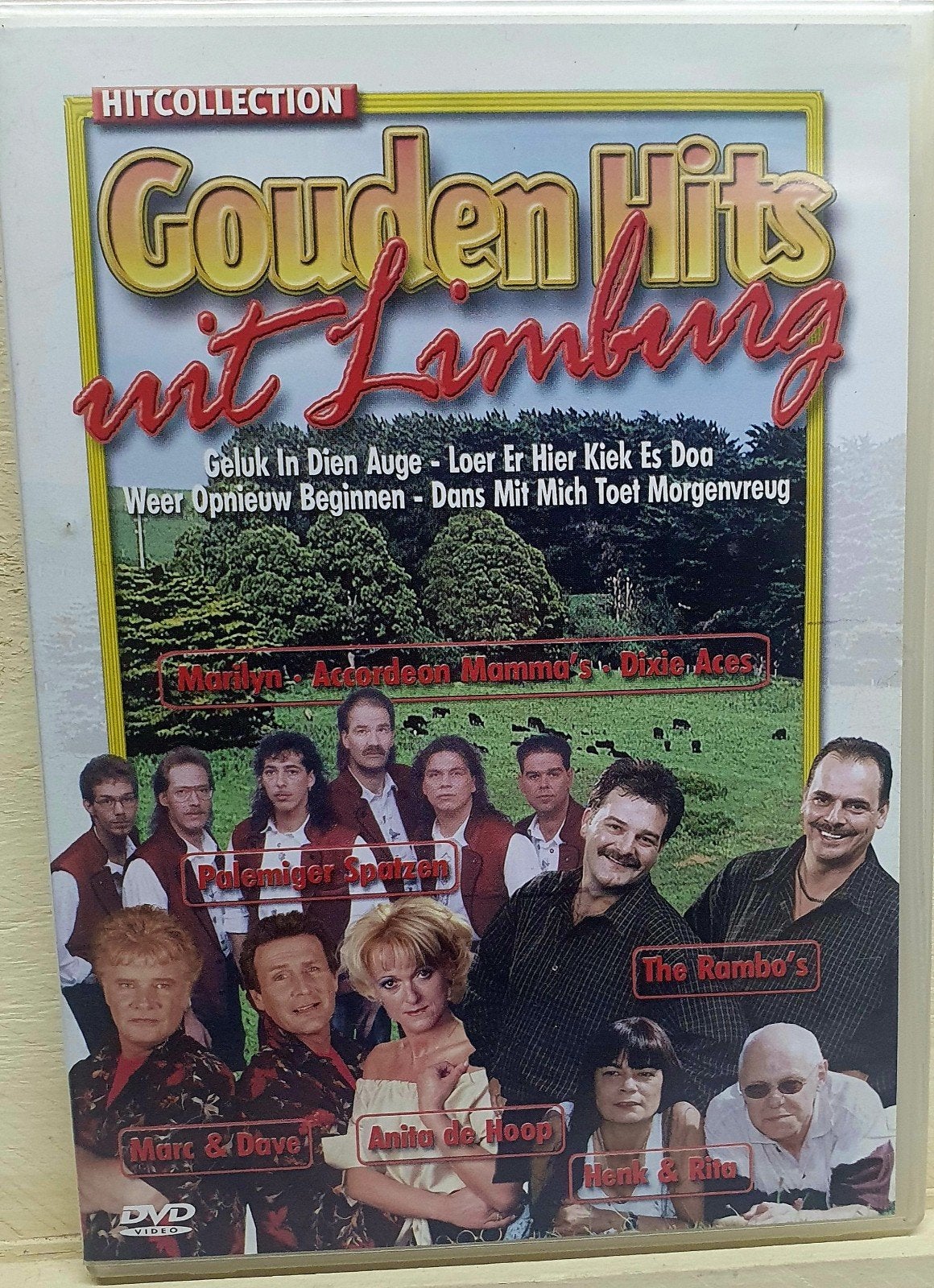 Gouden Hits uit Limburg - DVD Hitcollectie, Alle leeftijden, Ophalen of Verzenden, Gebruikt