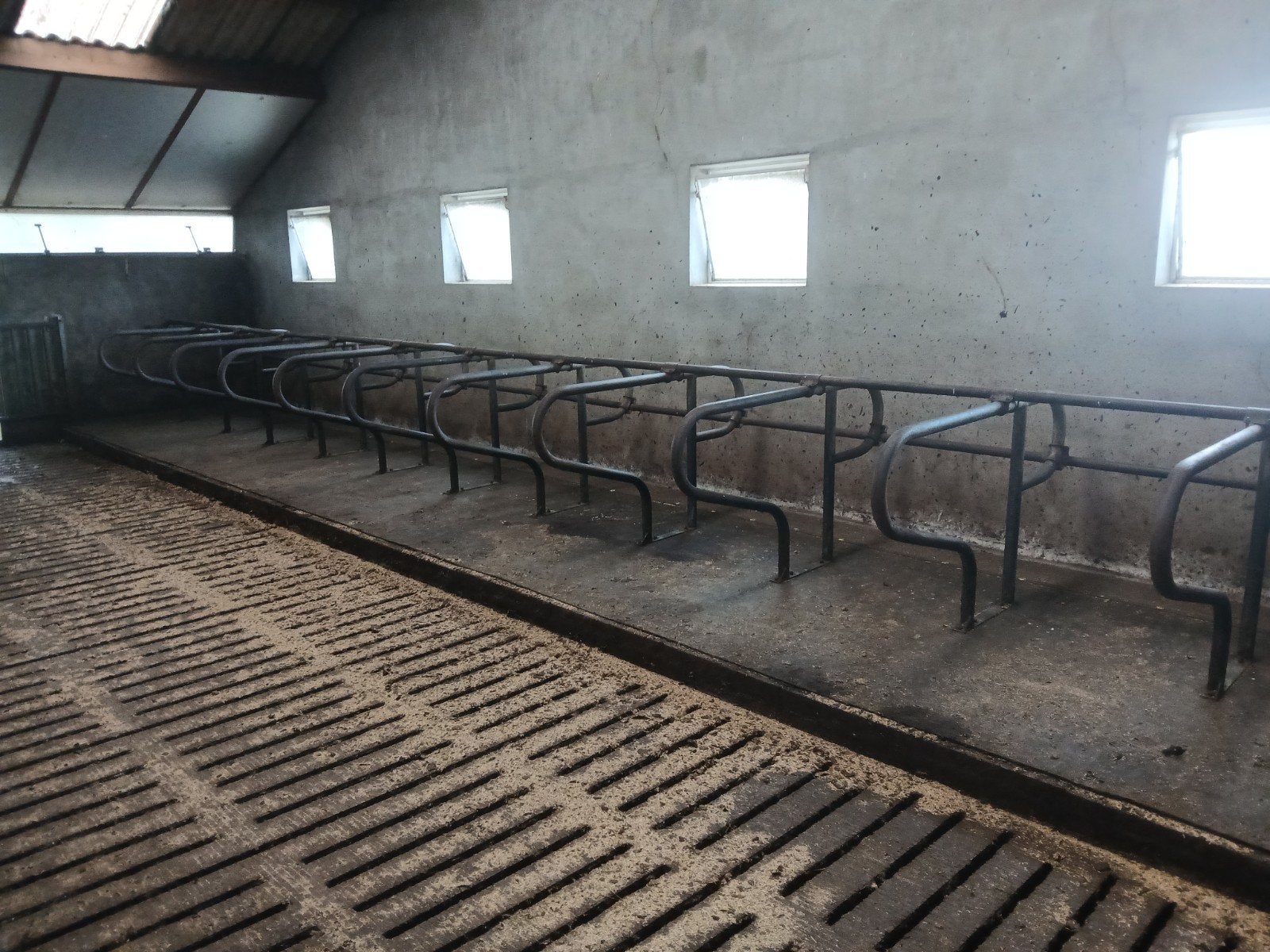 Ametrac jongvee stalinrichting