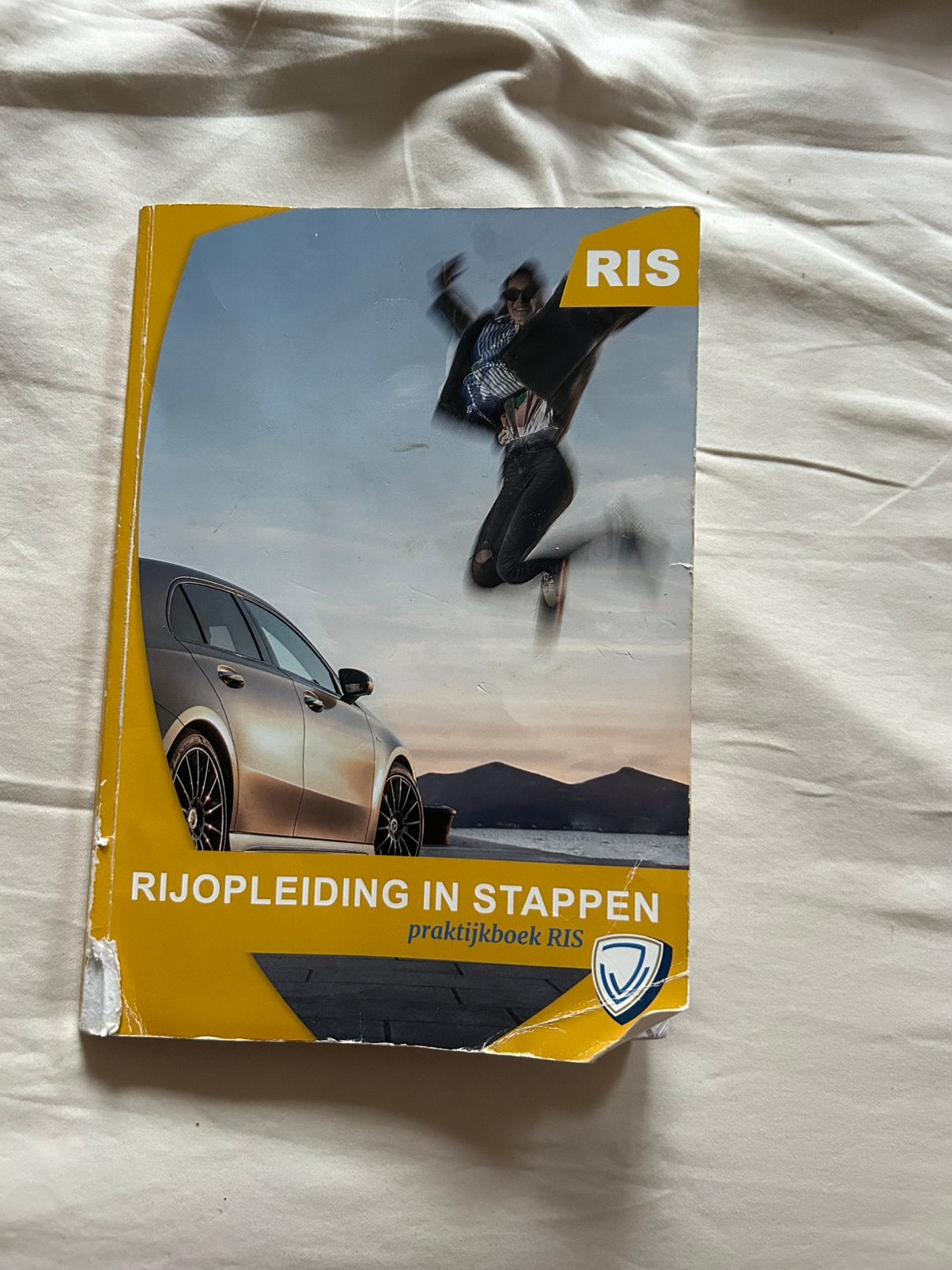 RIS boek, Verzenden, Gebruikt