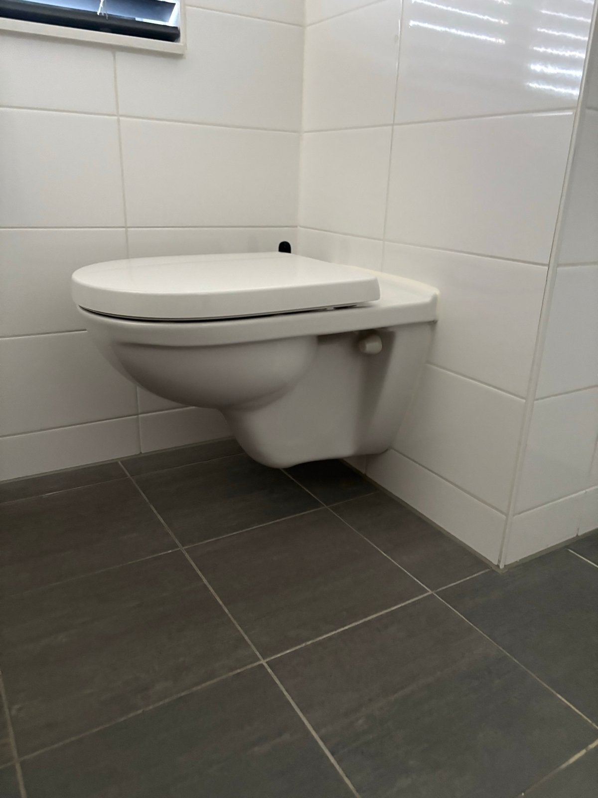 Mag weg! Villeroy & Boch wc en zitting., Ophalen, Gebruikt, Toilet