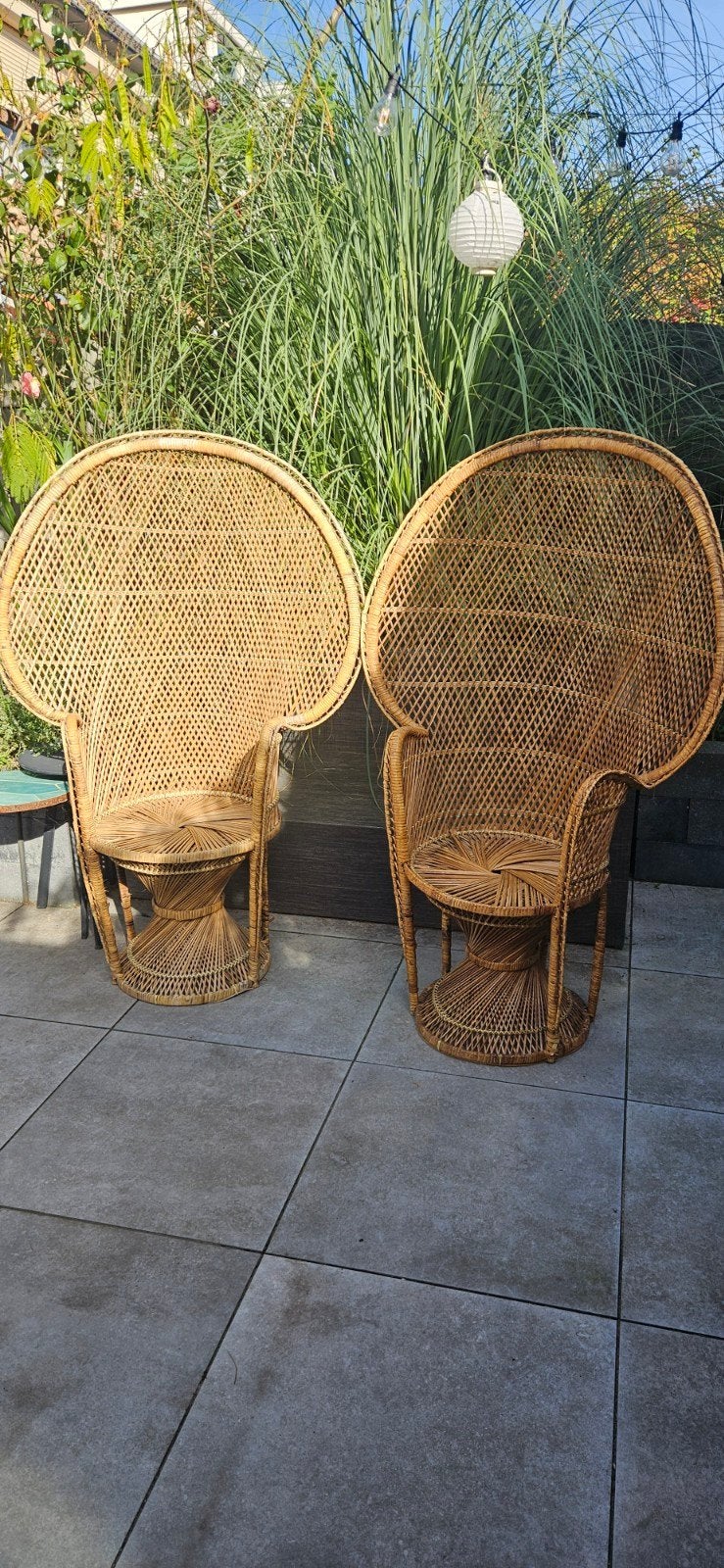 Set van 2 vintage rotan pauwstoelen, Ophalen, Gebruikt, Twee, Bruin