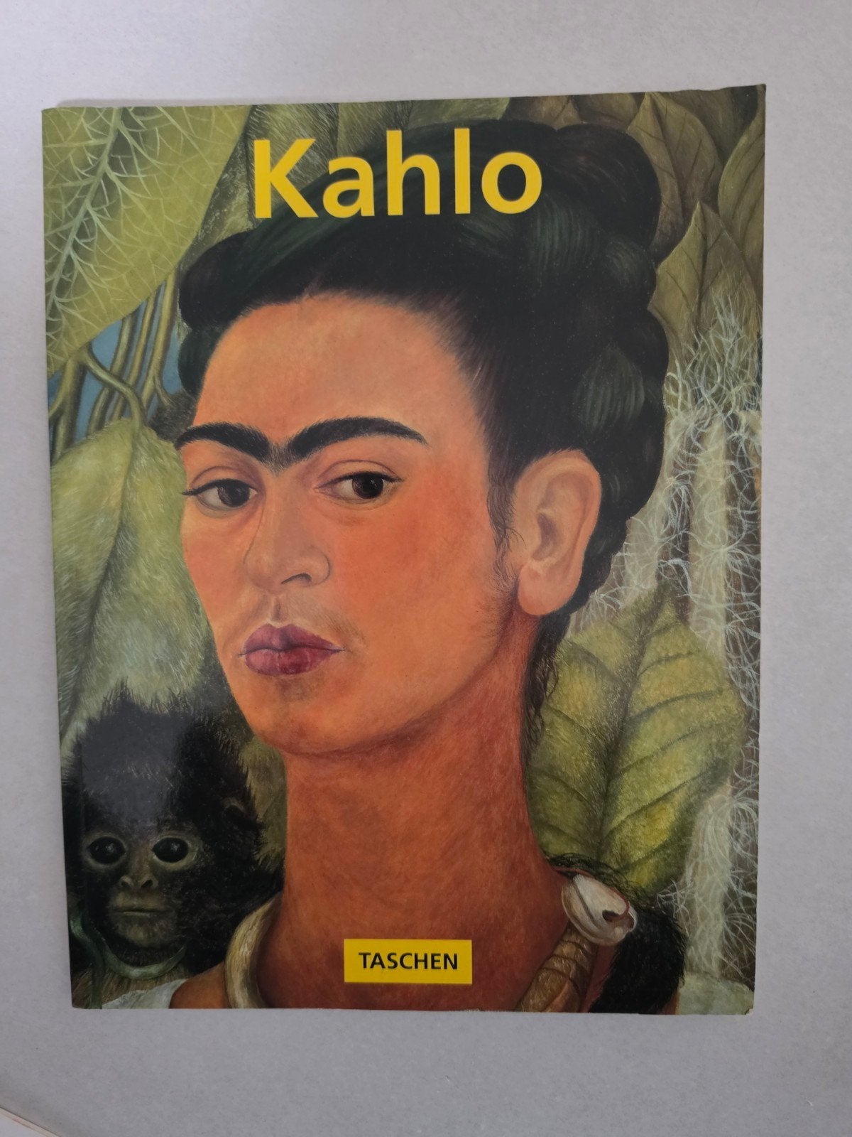 Taschen Boek Frida Kahlo - Zo goed als nieuw, Boeken, Verzenden, Zo goed als nieuw, Overige onderwerpen, Frida Kahlo