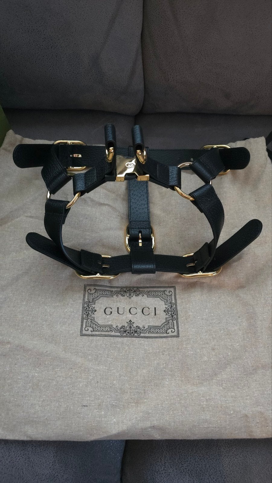 Gucci hondentuig, Dieren en Toebehoren, Ophalen of Verzenden, Nieuw