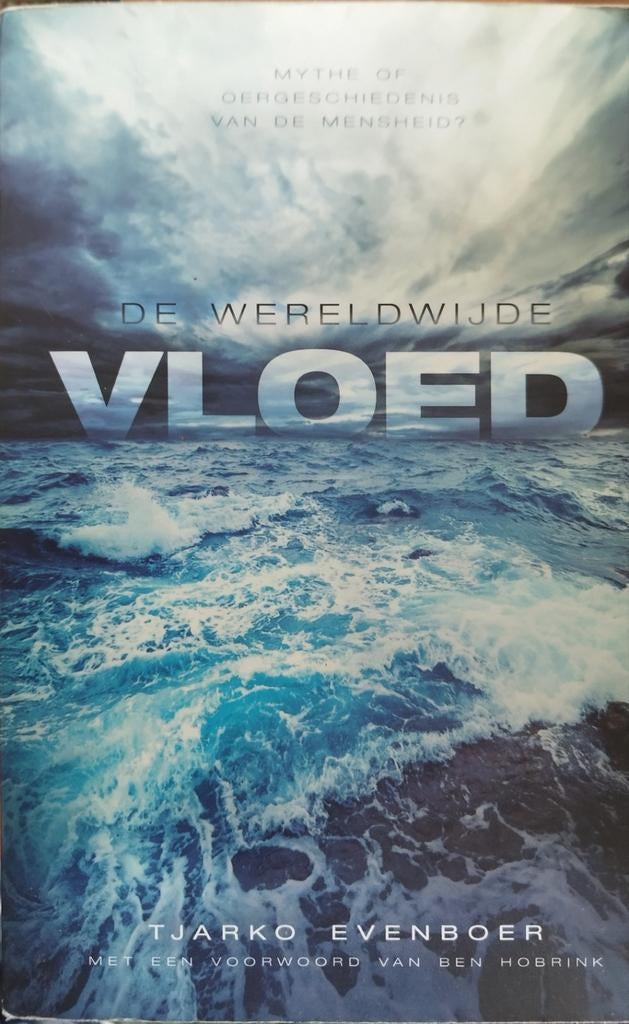 De Wereldwijde Vloed - Tjarko Evenboer (Boek), Boeken, Ophalen of Verzenden, Zo goed als nieuw, Tjarko Evenboer