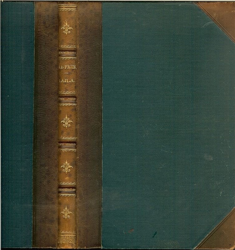LAYLA - Schetsen uit Finmarken van J.A.Friis Uit het Noorsch, Antiek en Kunst, Ophalen of Verzenden