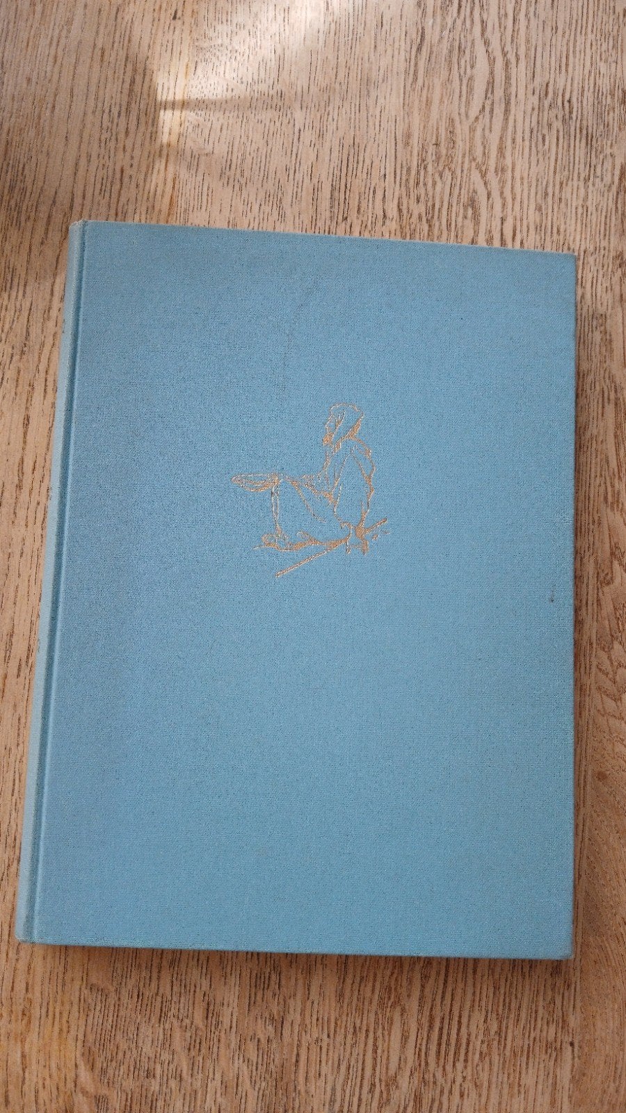Spiegel van Staten en Steden - met illustraties Anton Pieck, Ophalen of Verzenden, Gelezen, C.J. van der Elst