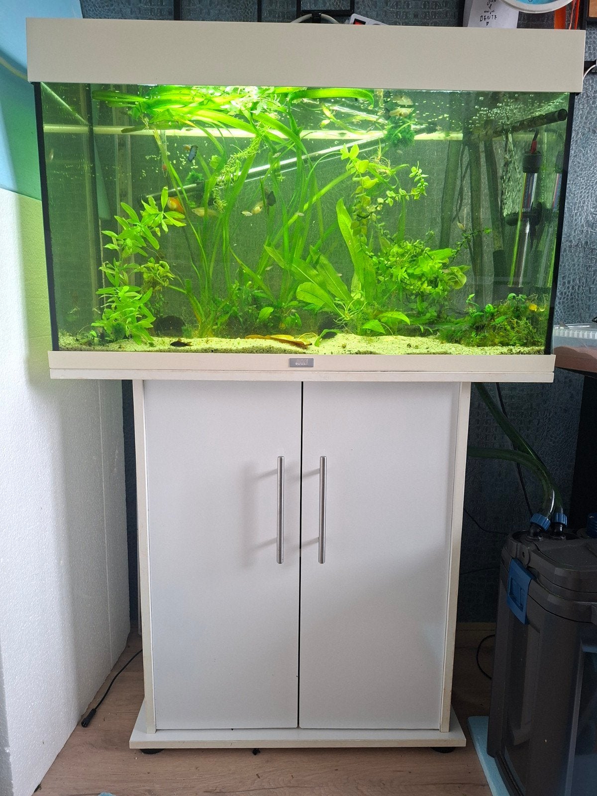 Gebruikt Juwel rio 125 aquarium met kast leeg of gevuld, Dieren en Toebehoren, Ophalen, Gebruikt, Leeg aquarium