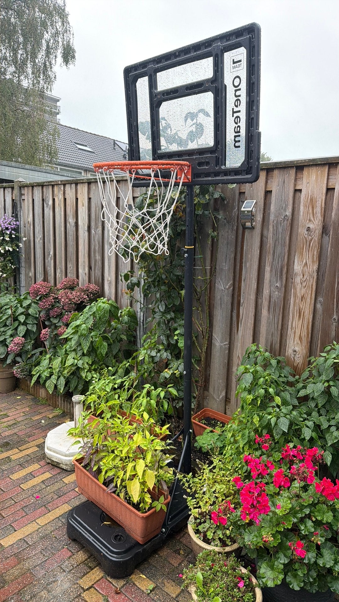 Basketbal net met standaard, Sport en Fitness, Ophalen, Zo goed als nieuw, Ring, Bord of Paal