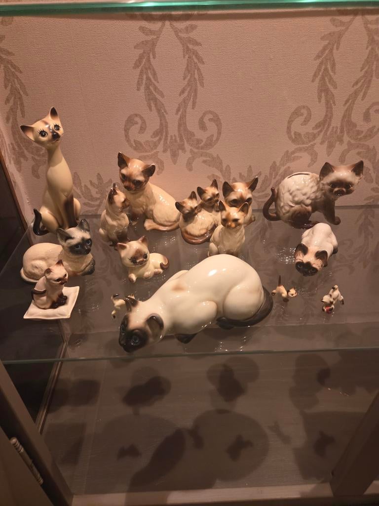 Verzameling Siamees Katten Beeldjes, Ophalen, Zo goed als nieuw, Hond of Kat, Beeldje of Figuurtje