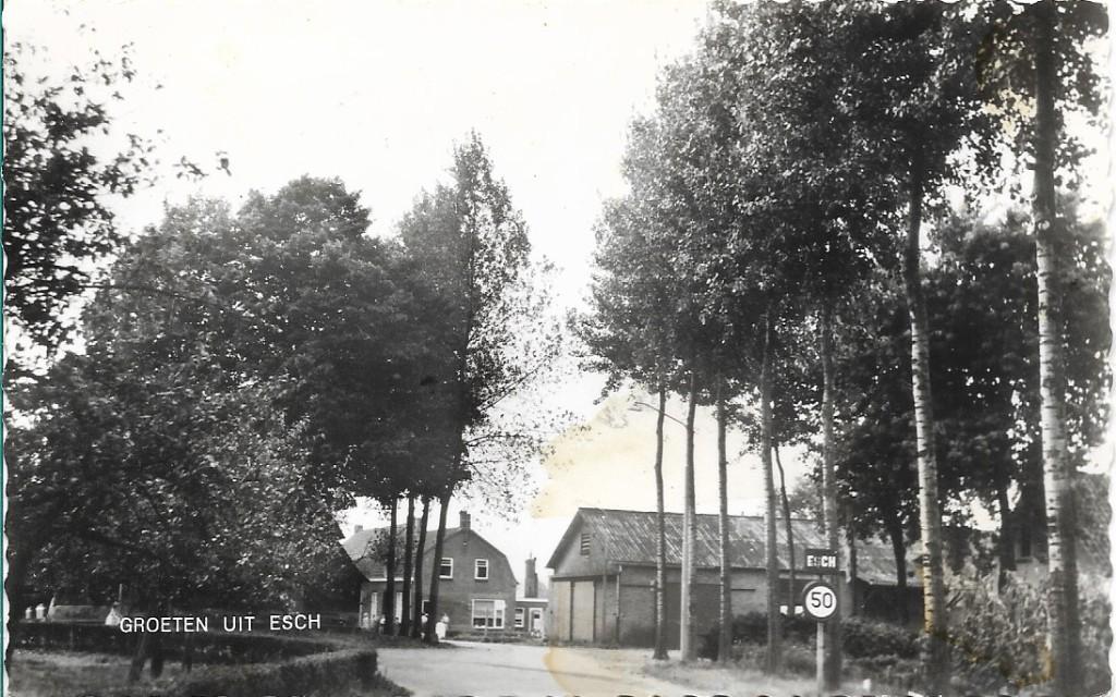Esch 1961 Groeten uit Esch, fotokaart, Verzenden, 1960 tot 1980, Ongelopen, Noord-Brabant