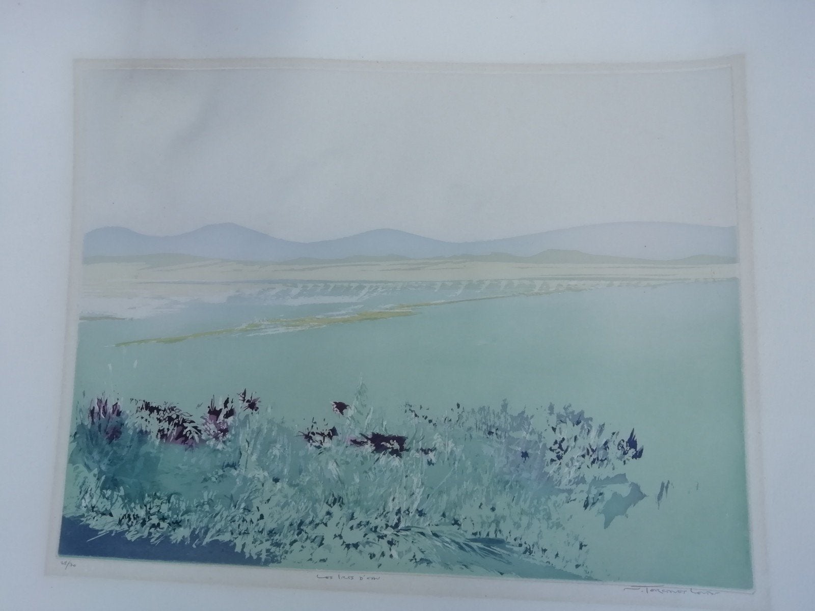 Nicole Tercinet-Levin - 'Les iris d'eau' - Ets en aquatint, Ophalen of Verzenden, Origineel, Flora en Fauna, 1950 - 1999