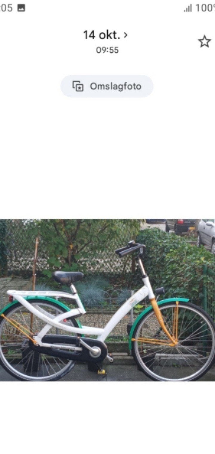 Damesfiets, Ophalen of Verzenden, Gebruikt, 26 inch of meer