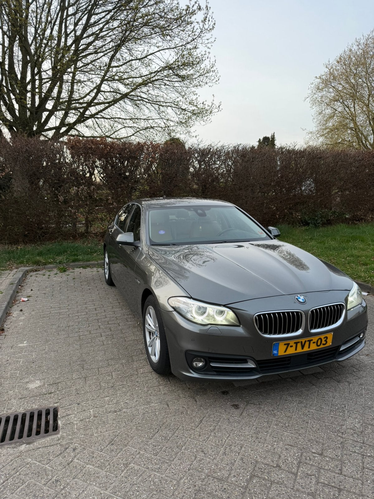 BMW 520i High Executive (2014) – Volledig Dealer Onderhouden, Automaat, Achterwielaandrijving, Beige, 4 cilinders