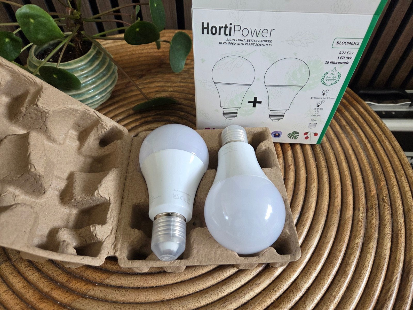 HortiPower Bloomer 2 LED Kweeklampen (2 stuks), Nieuw, Kunststof, Ophalen of Verzenden, Modern